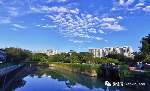 从新加坡飞天津实在太折腾了,现在这情况老年朋友能不飞就不要飞