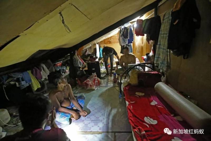 50名外籍客工挤进一间锌板屋吃喝拉撒睡　明明来到新加坡却住进“贫民窟”