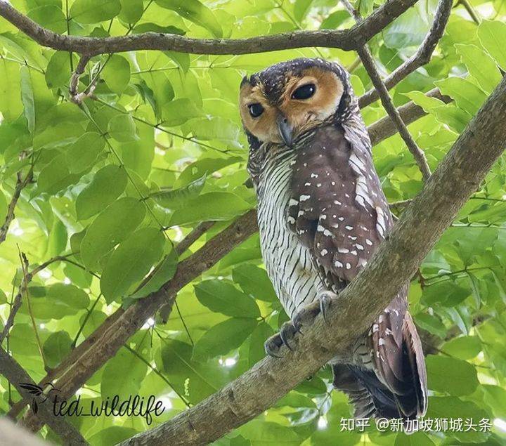 旅行的意義—攝影攻略之巴西立地鐵站