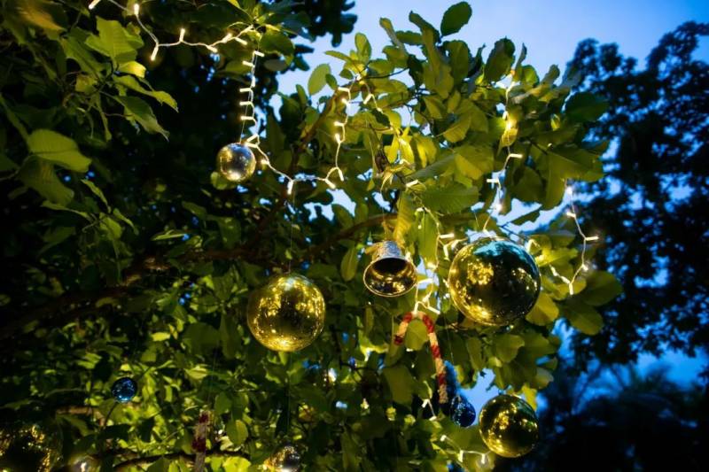 不喜歡人擠人？來新加坡植物園看聖誕燈飾、“世界之樹”吧！入場免費