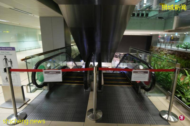 樟宜機場感染群再添7例 獅城護士確診初步檢測染變種病毒