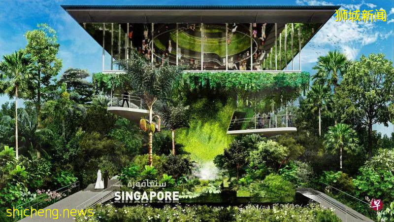 迪拜世博會新加坡館長啥樣