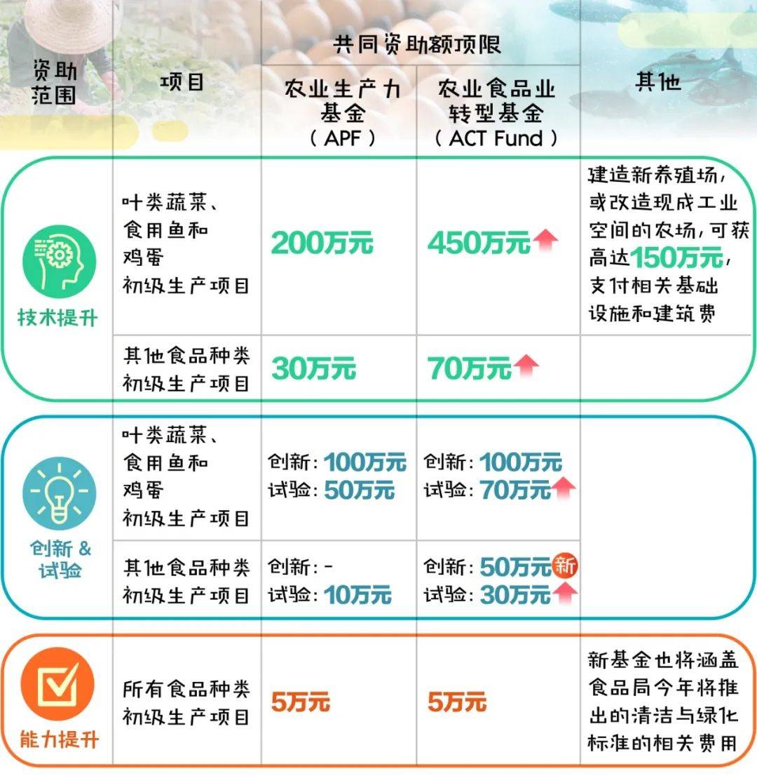 一文盤點:不同領域的新加坡業者能夠獲得哪些政府援助