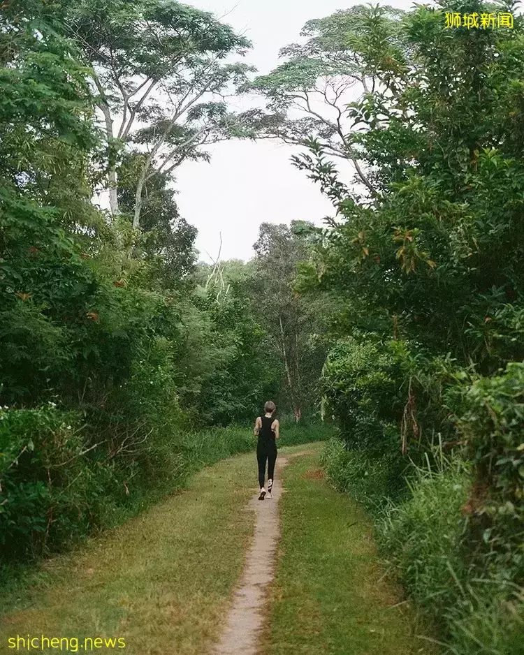 長周末出去走走!精選新加坡小衆大自然景區👣漫步騎車、呼吸新鮮空氣,有益身心