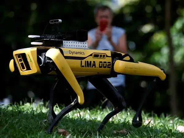 新加坡公园惊现机器狗，吓得粉丝直呼：以为是科幻片