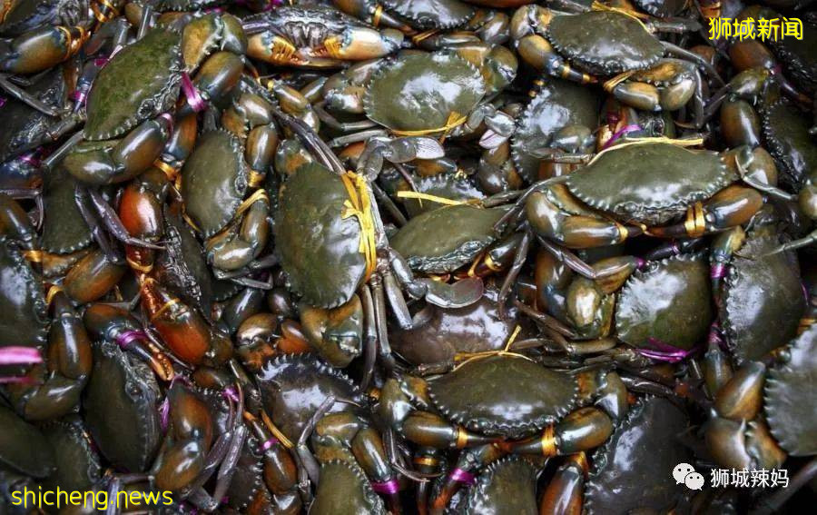 超劃算中國超市！$0.6鮑魚、$8麻辣小龍蝦、活鲫魚、80種海鮮、100多種面食