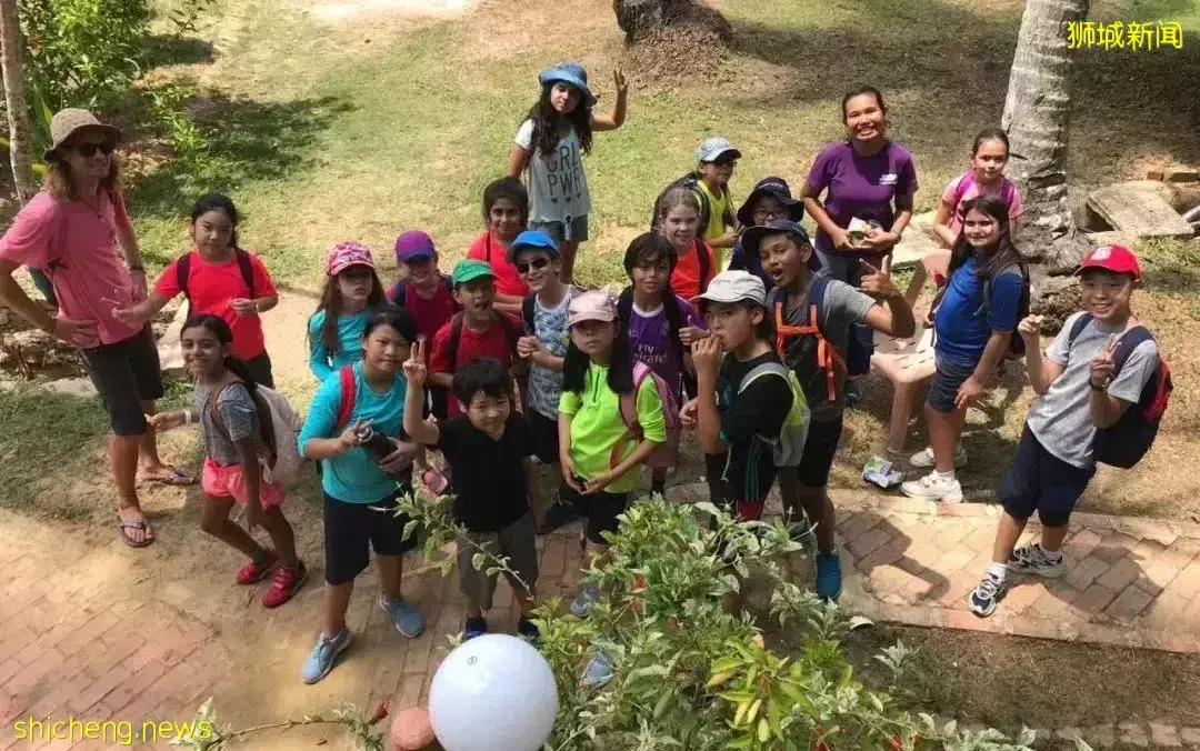 看起來每天都在玩，新加坡國際學校的娃們是怎麽學習的