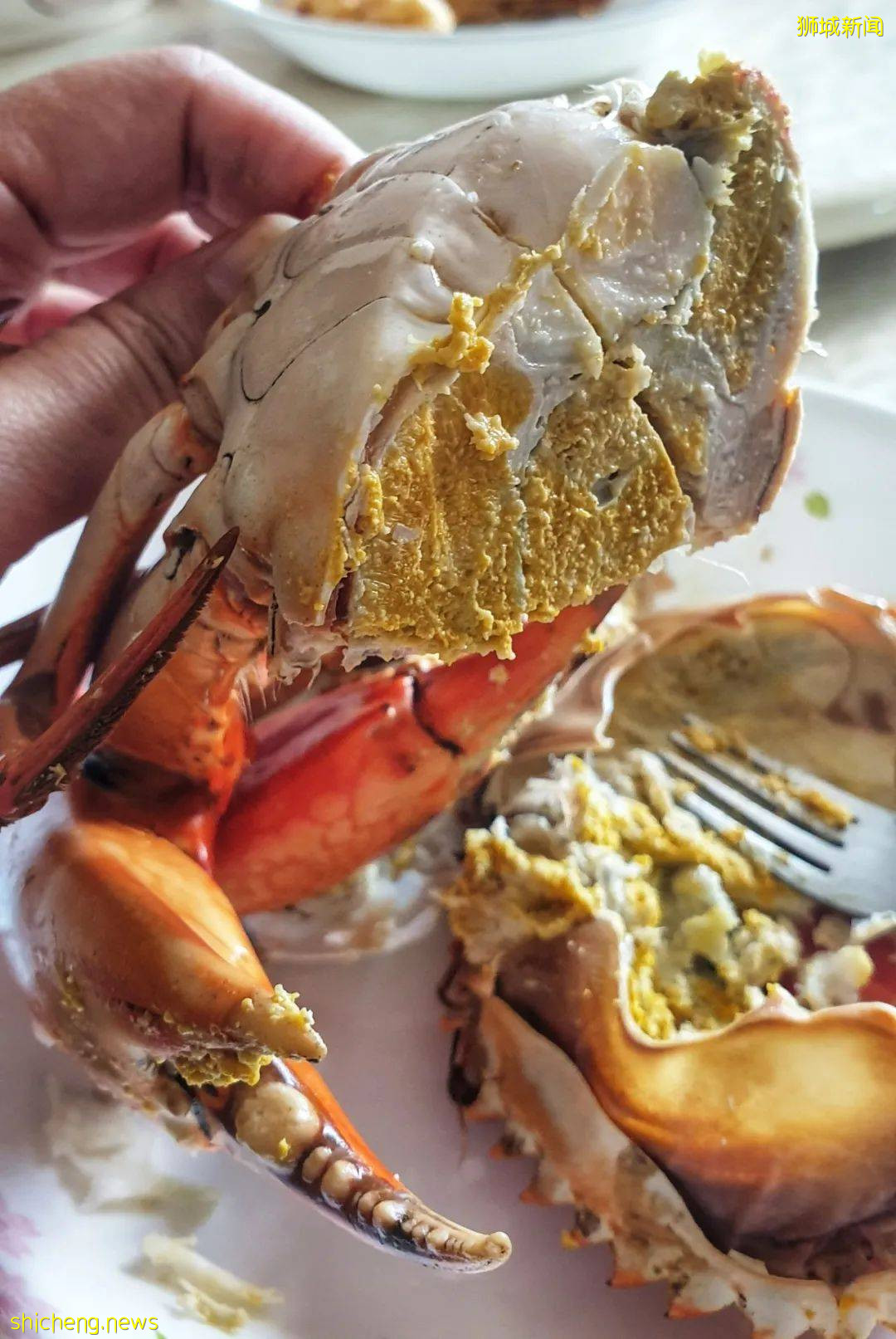 来新加坡吃过辣椒螃蟹不稀奇,吃过潮州冷蟹才算来过新加坡