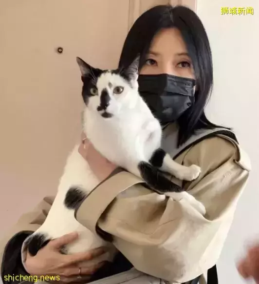 华人女星哭诉：我的家被歹徒洗劫一空！新加坡这么安全，他们还是走了