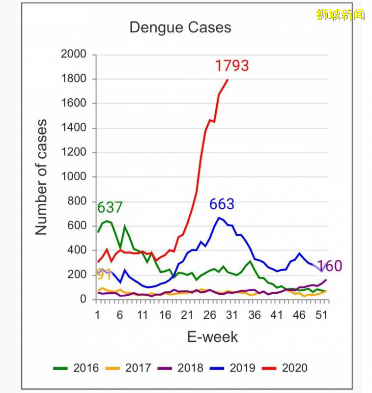家人群爆了！“新加坡登革熱疫情史上最嚴重” 登上微博熱搜