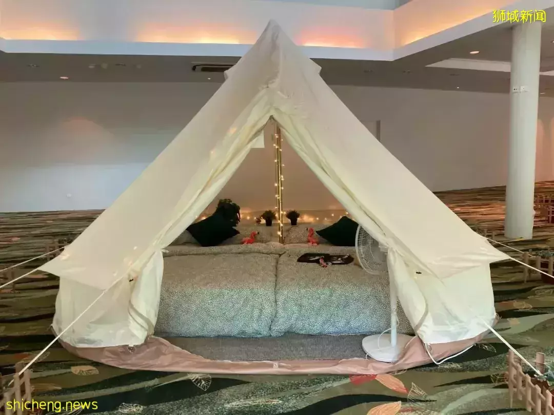 小朋友超爱！裕廊飞禽公园露营！和火烈鸟一起度过美好夜晚