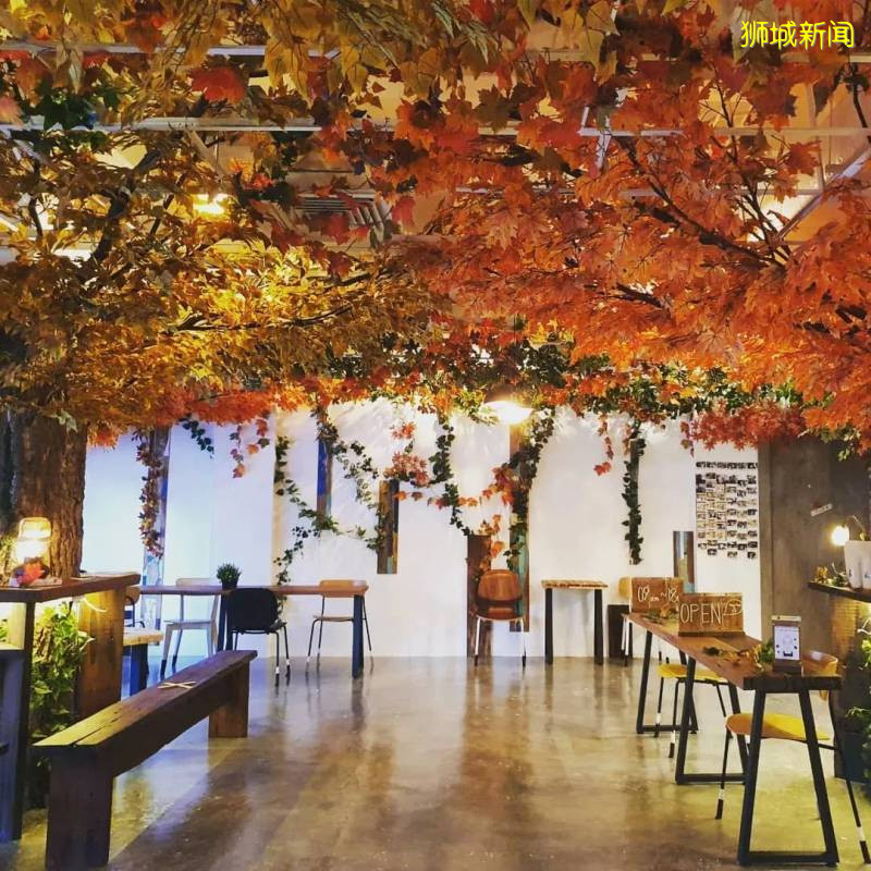 没办法外出旅?在新加坡体会在韩国Cafe的feel