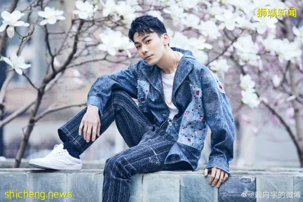 疫下无法及时办手续 戴向宇痛失狮城永久居民权