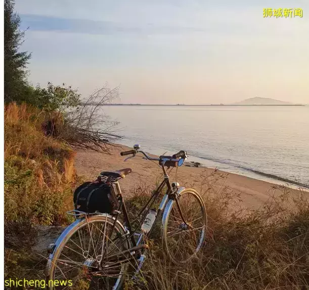 新加坡最新网红景点!风景绝美必打卡