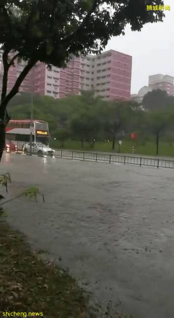 新加坡大暴雨:马路变河、草坡变瀑布!25人被困,1人送医