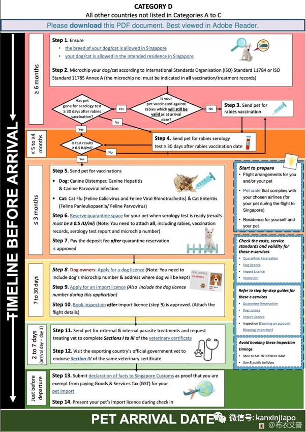 【攻略】人坐客舱、猫坐货舱,同架班机从中国入境新加坡