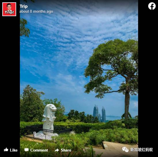 日本和歐洲也有魚尾獅? 它比你我知道的還要神出鬼沒