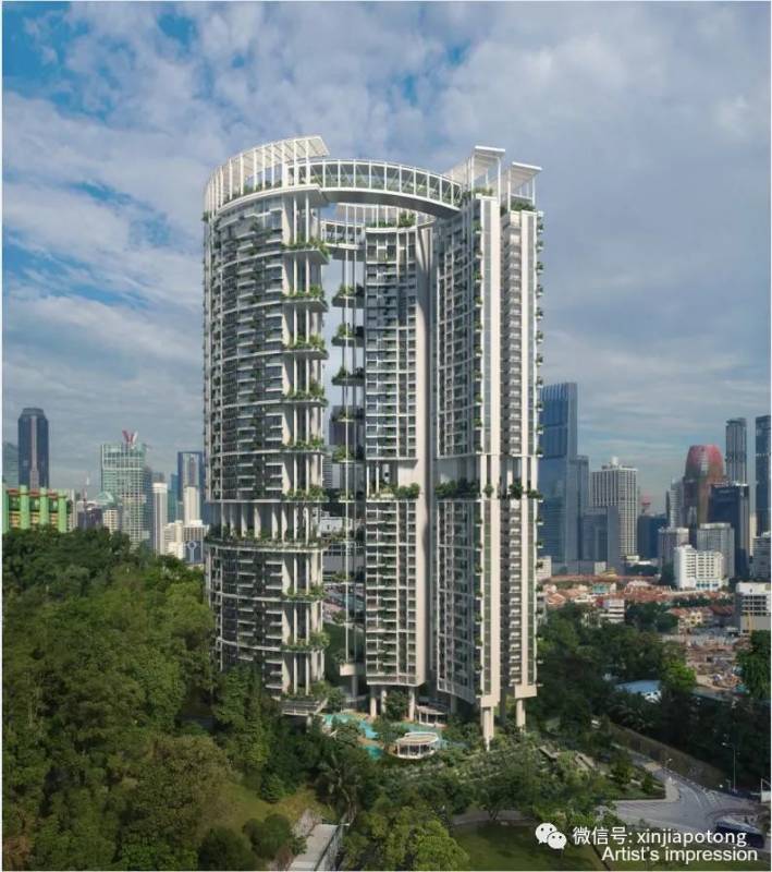 新币兑人民币暴跌!听说这几天入境新加坡的中国“游客”,可能是为了这件事