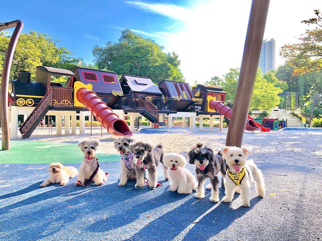 好玩又刺激😜 新加坡精选6大特色游乐场!最多滑梯、巨型高塔、古老龙头游乐场都在这里面👏🏻