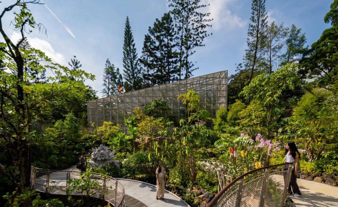 新加坡热带高山胡姬展览馆开幕；国家胡姬花园将免费开放至4月11日