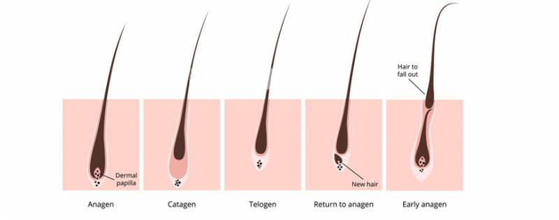 海淘也有9.9大促！！買一送一、低過7折、超多deal等你來BuyBuyBuy！！還有2021年聖誕倒數禮盒上線，准備告別2020吧