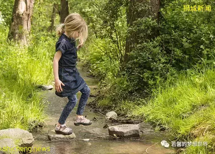 拿著鏟子、放大鏡、昆蟲觀察箱,帶娃去新加坡昆蟲森林冒險