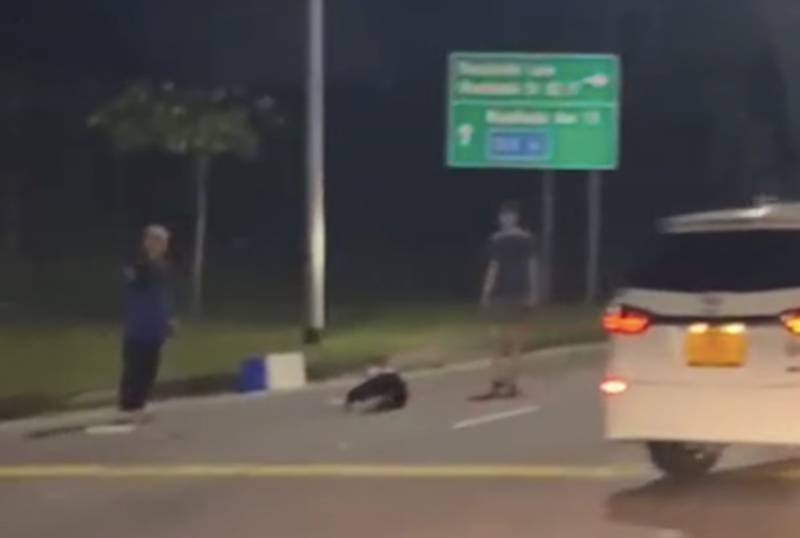 新加坡恐怖車禍!貨車跟奧迪馬路上競賽,被撞爛是它