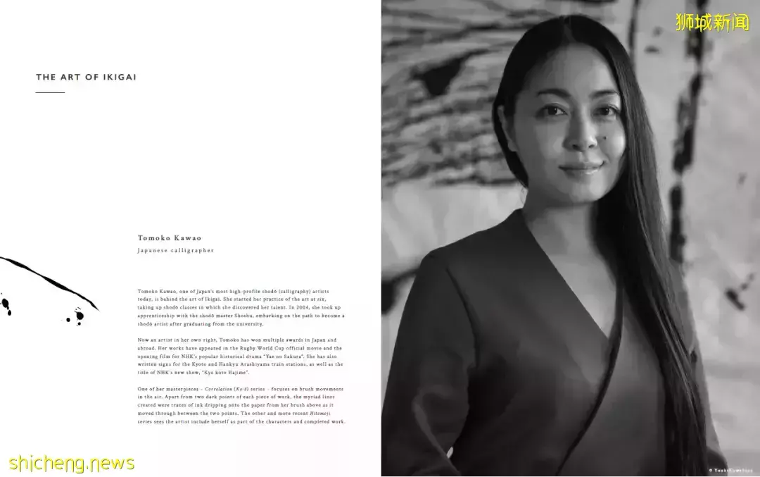 新加坡IKIGAI【D11核心区 享永久地契 奢华日式公寓】