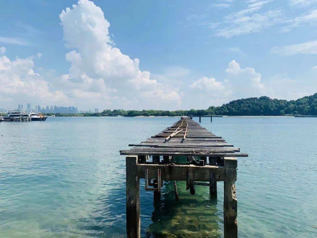 申請新加坡PR,申請世界名校,這項考試居然這麽重要