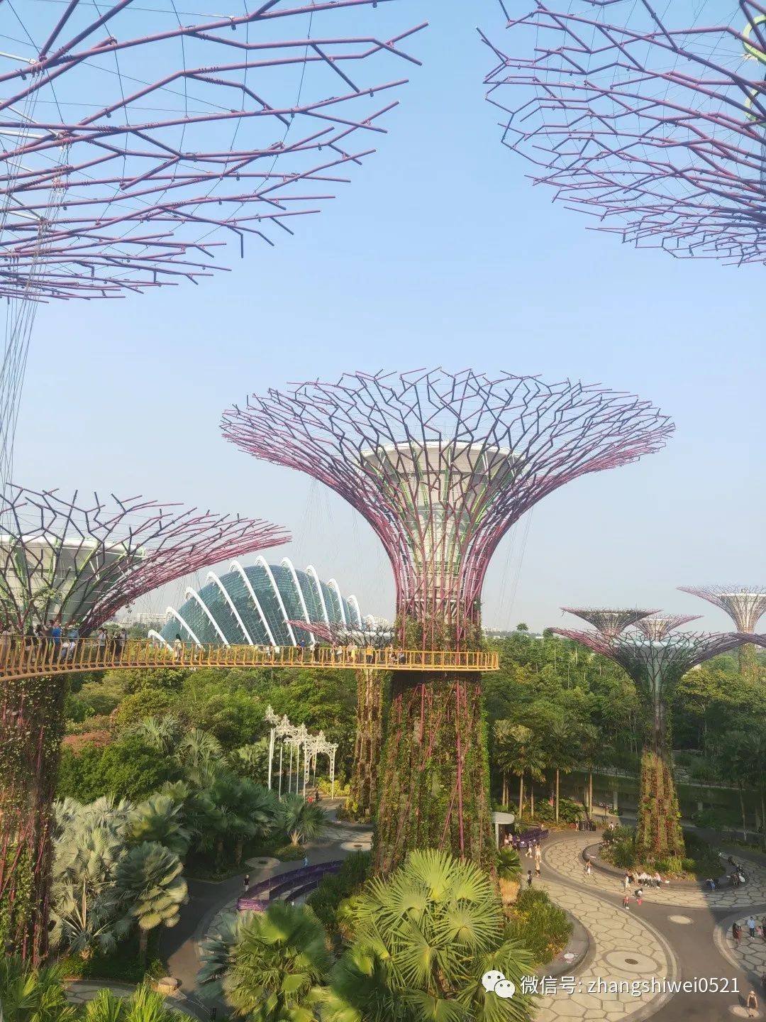 新加坡遊記系列 常規又不常規的獅城遊覽