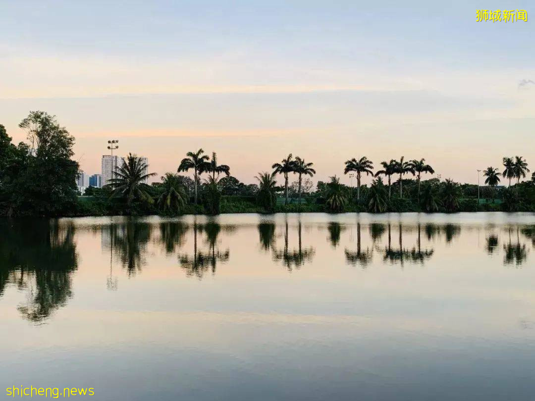 美到不行的裕廊湖畔花园,你不来打卡一下吗