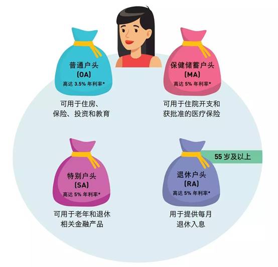 新加坡，遍地“老司機”