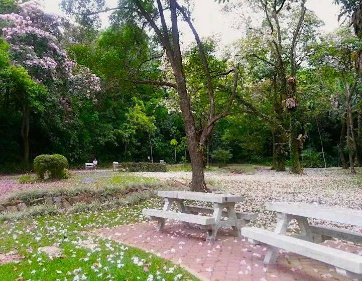 新加坡亲子野餐全攻略,18个宝藏公园帮你找全啦