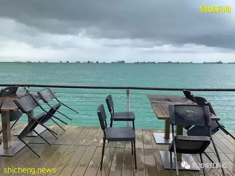 【圖文】這段18公裏沿海路線美爆了! 左看右看都不像在新加坡