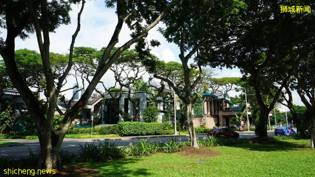 新加坡 上篇 出不去的日子,我想起了新加坡