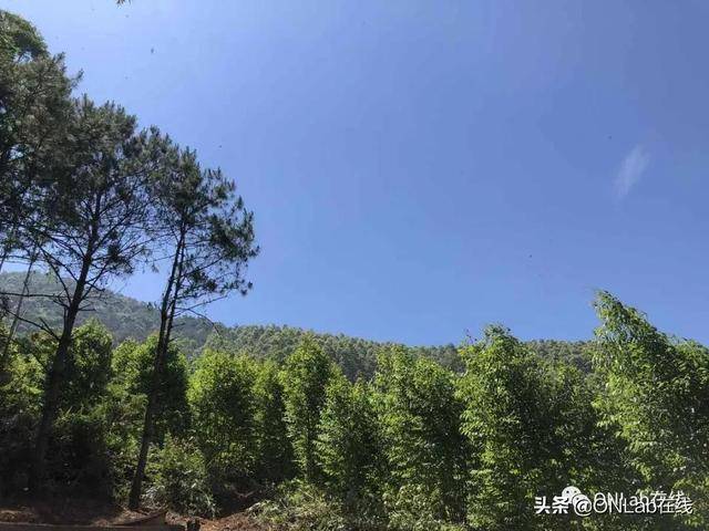 南安乐峰的新加坡国宝潘受,他的父亲竟是位“医神”