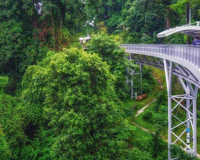 城市綠道，新加坡的“軟實力”
