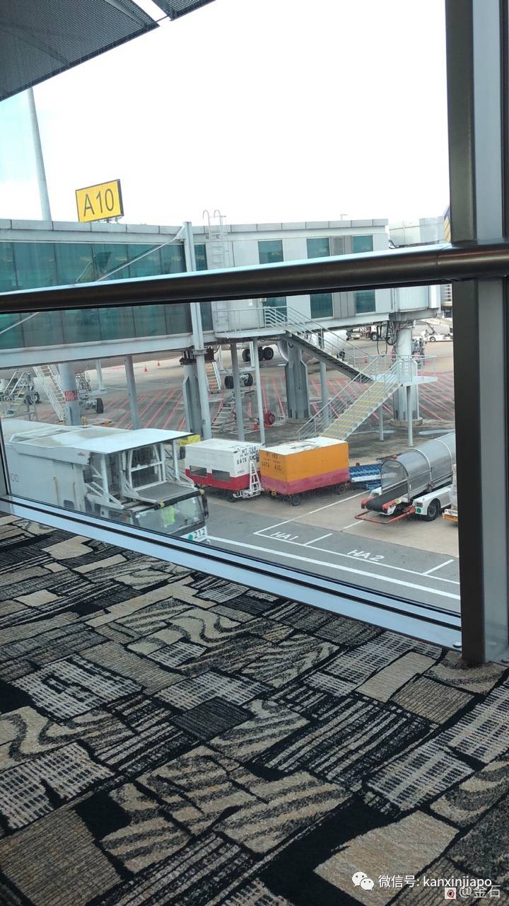 新加坡飞上海隔离新政详解!江浙沪人员3+11+7+7