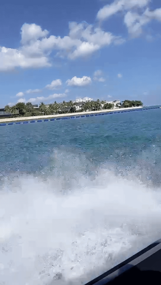 刺激！新加坡最酷的海上运动，1小时乘海军飞艇游5个岛，感觉爽飞了