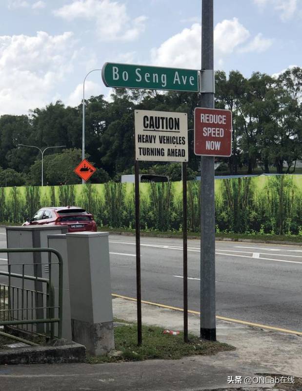 手足情深:新马抗日英雄林谋盛与17弟大琛