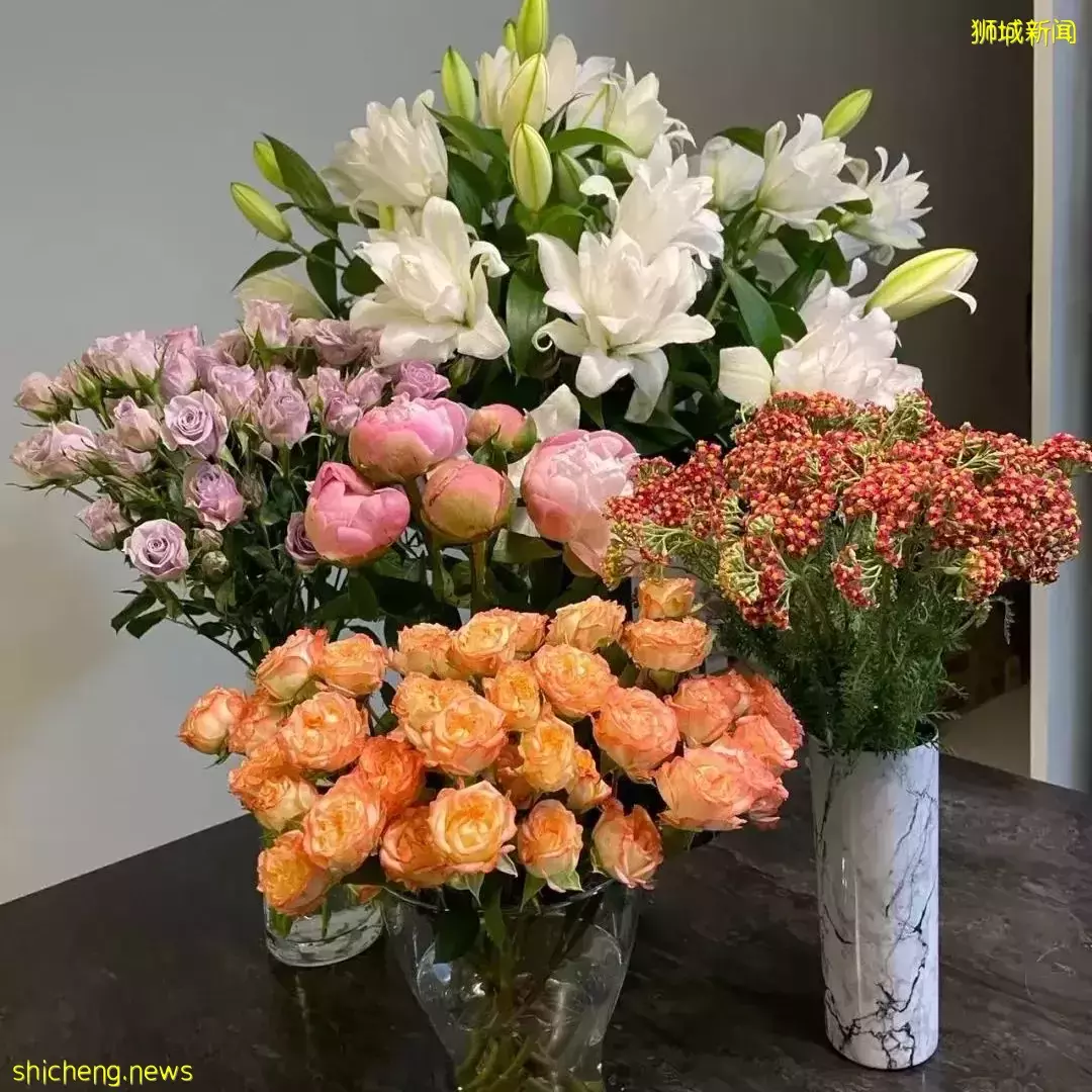 鮮花在熱帶也能養1個月？資深花友新加坡買花、養護大揭秘