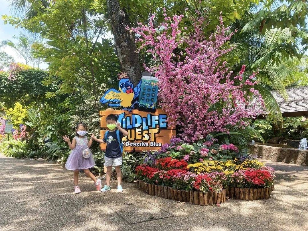 新加坡31個孩子超愛的假期活動+遊玩攻略，1分不花也能玩