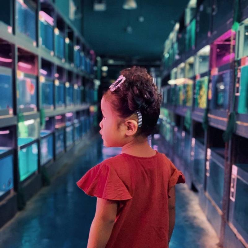 周末新玩法!新加坡仟湖魚場🐟 賞魚+魚療+搜魚體驗活動!免費入場、免費專程巴士載送