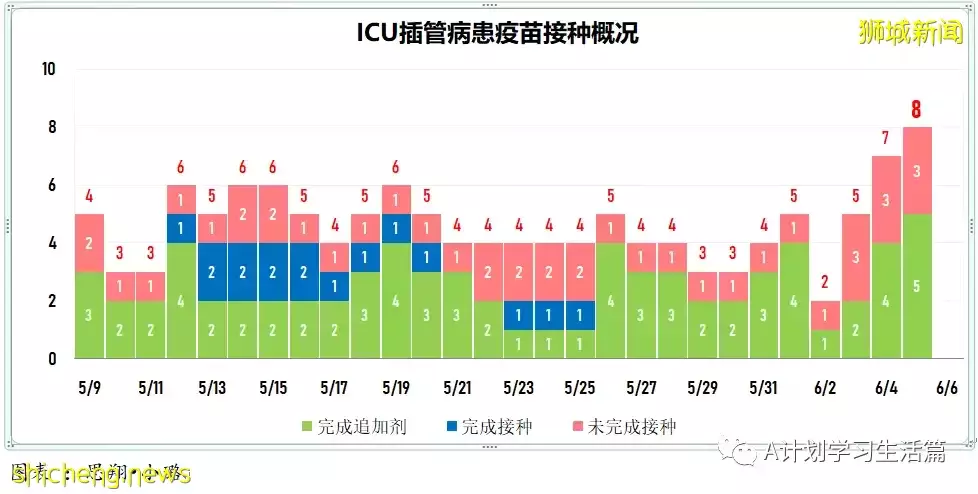 新增2162起，無人去世；澳州確診猴痘症旅客曾過境新加坡，13人須接受電話監測