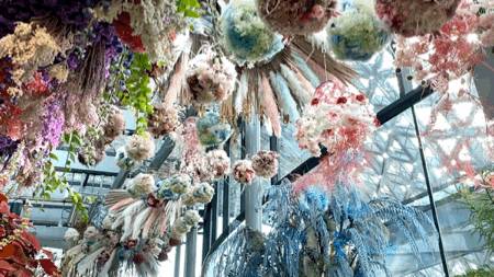 新加坡 不能错过的高颜值打卡地攻略(上)