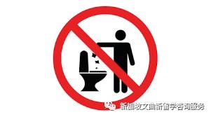 新加坡你不知道的小知識