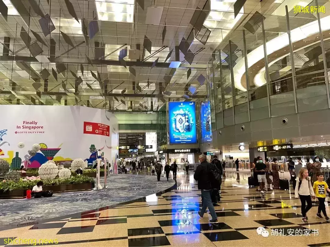 全過程記錄!4月4日從新加坡飛往封城中的上海,入境隔離多圖
