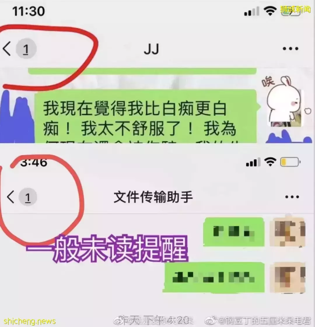 王力宏事件波及这些新加坡名人!林俊杰官方声明后,她晒聊天记录,称在坡30天了等回应
