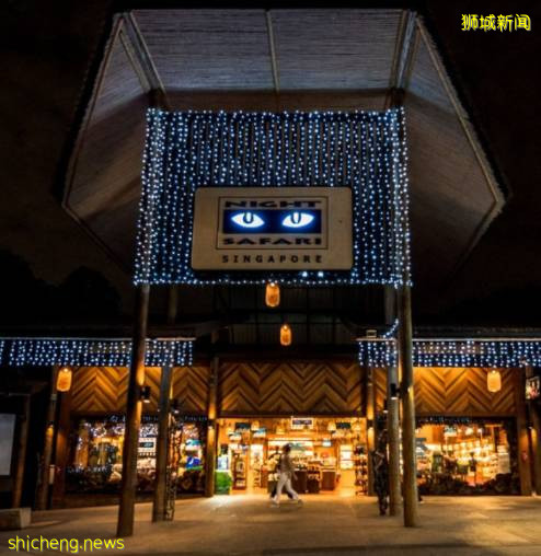 狮子4例!新加坡动物园首次出现“人传狮”感染