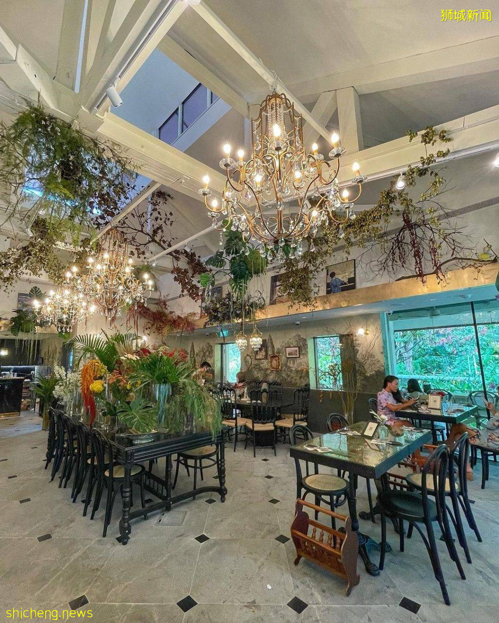 福康宁公园宝藏餐厅!Le Jardin法式田园风、鲜花绿植环绕💐新加坡版的小巴黎🇫🇷